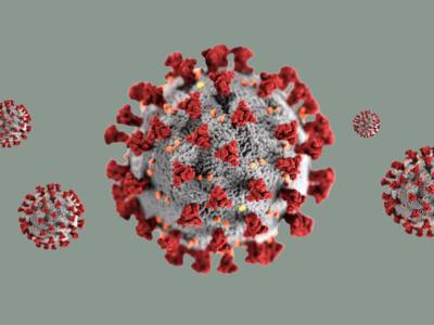 rapid antigen testing highbury east